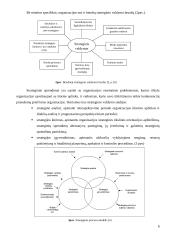 Strateginio valdymo pranašumai ir problemos: siuvimo įmonė 6 puslapis