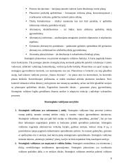 Strateginio valdymo pranašumai ir problemos: siuvimo įmonė 8 puslapis