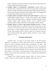 Strateginio valdymo pranašumai ir problemos: siuvimo įmonė 9 puslapis