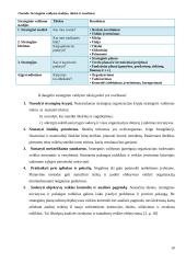 Strateginio valdymo pranašumai ir problemos: siuvimo įmonė 10 puslapis