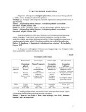 Strategija, jos raida ir strateginis planavimas 2 puslapis