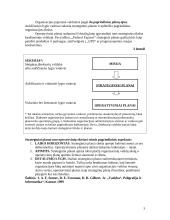 Strategija, jos raida ir strateginis planavimas 3 puslapis