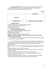 Strategija, jos raida ir strateginis planavimas 4 puslapis