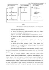 Marketingo valdymo procesas 12 puslapis