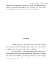 Marketingo valdymo procesas 13 puslapis