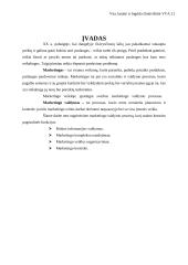 Marketingo valdymo procesas 3 puslapis