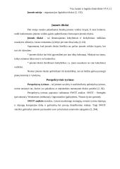 Marketingo valdymo procesas 6 puslapis