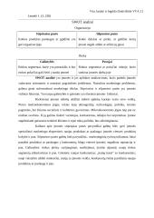 Marketingo valdymo procesas 7 puslapis