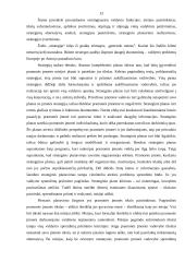 Strateginis planavimas ir jo reikšmė 13 puslapis