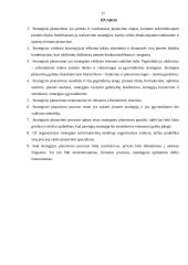 Strateginis planavimas ir jo reikšmė 17 puslapis