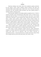 Strateginis planavimas ir jo reikšmė 3 puslapis