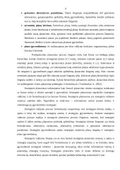 Strateginis planavimas ir jo reikšmė 6 puslapis