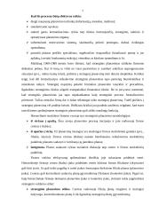 Strateginis planavimas ir jo reikšmė 7 puslapis