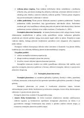 Strateginis planavimas ir jo reikšmė 9 puslapis