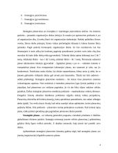 Strateginis planavimas ir kūrimas 4 puslapis