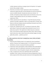 Strateginis planavimas ir kūrimas 6 puslapis