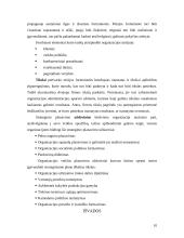 Strateginis planavimas ir kūrimas 10 puslapis