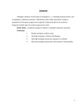 Strateginis planavimas ir strateginis valdymas 2 puslapis