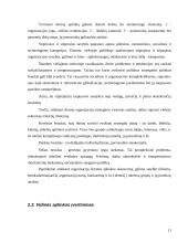 Strateginis planavimas ir strateginis valdymas 11 puslapis