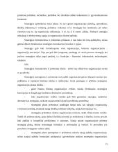 Strateginis planavimas ir strateginis valdymas 15 puslapis