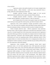 Strateginis planavimas ir strateginis valdymas 16 puslapis