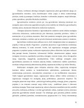 Strateginis planavimas ir strateginis valdymas 18 puslapis