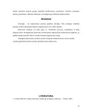 Strateginis planavimas ir strateginis valdymas 19 puslapis