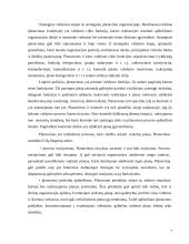 Strateginis planavimas ir strateginis valdymas 7 puslapis