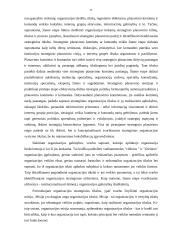 Strateginis planavimas viešajame administravime 11 puslapis