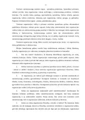 Strateginis planavimas viešajame administravime 13 puslapis