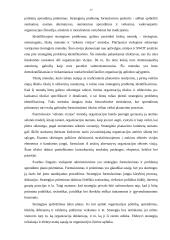 Strateginis planavimas viešajame administravime 17 puslapis