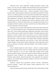 Strateginis planavimas viešajame administravime 19 puslapis