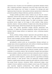 Strateginis planavimas viešajame administravime 20 puslapis