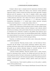 Strateginis planavimas viešajame administravime 4 puslapis