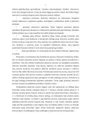 Strateginis planavimas viešajame administravime 5 puslapis