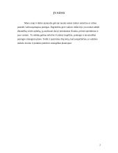 Strateginis planavimas: "Federal Express" 2 puslapis