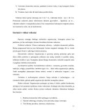 Strateginis planavimas: "Federal Express" 11 puslapis