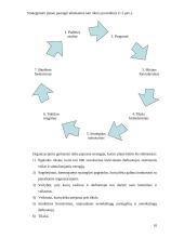 Strateginis planavimas: "Federal Express" 10 puslapis
