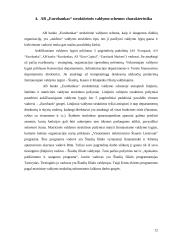Struktūrinės valdymo schemos sudarymas: AB "Eurobankas" 12 puslapis