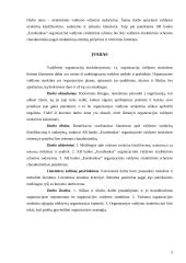 Struktūrinės valdymo schemos sudarymas: AB "Eurobankas" 3 puslapis