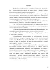 Struktūrinio  funkcionalizmo ir konflikto teorijos taikymas darbovietėje 8 puslapis