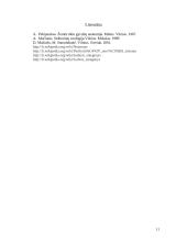 Stuburinių nervinės sistemos 11 puslapis