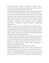 Stuburinių nervinės sistemos 3 puslapis