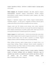 Stuburinių nervinės sistemos 4 puslapis