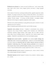 Stuburinių nervinės sistemos 5 puslapis