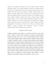 Stuburinių nervinės sistemos 7 puslapis