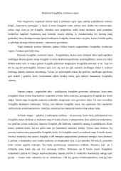 Supernovos (žvaigždės) 3 puslapis