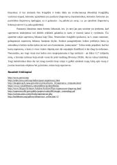 Supernovos (žvaigždės) 8 puslapis