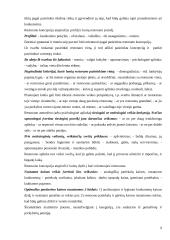 Svečių aptarnavimo ypatumai 9 puslapis