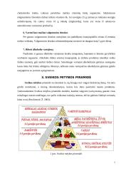 Sveika mityba ir jos priežiūra 6 puslapis